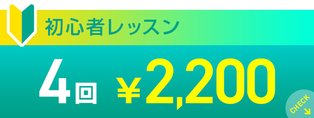 初心者レッスン4回￥2,200